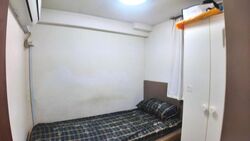 Pinewood Terrace (D25), Terrace #529427751